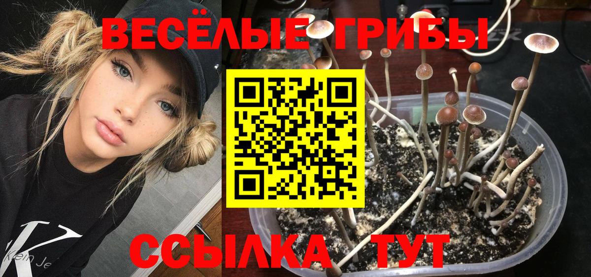 Псилоцибиновые грибы MAGIC MUSHROOMS Горячий Ключ