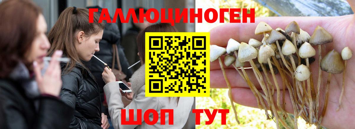 Галлюциногенные грибы Psilocybe  Псилоцибиновые грибы Psilocybine cubensis  Вход с VPN  Горячий Ключ 
